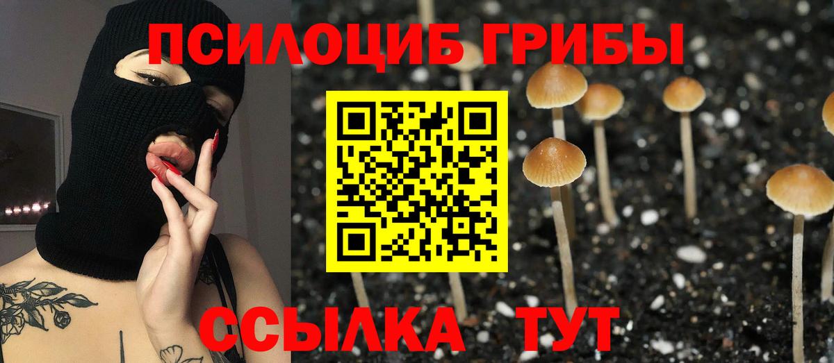 Псилоцибиновые грибы GOLDEN TEACHER  Галлюциногенные грибы Psilocybine cubensis  Вход с VPN  Камышлов 
